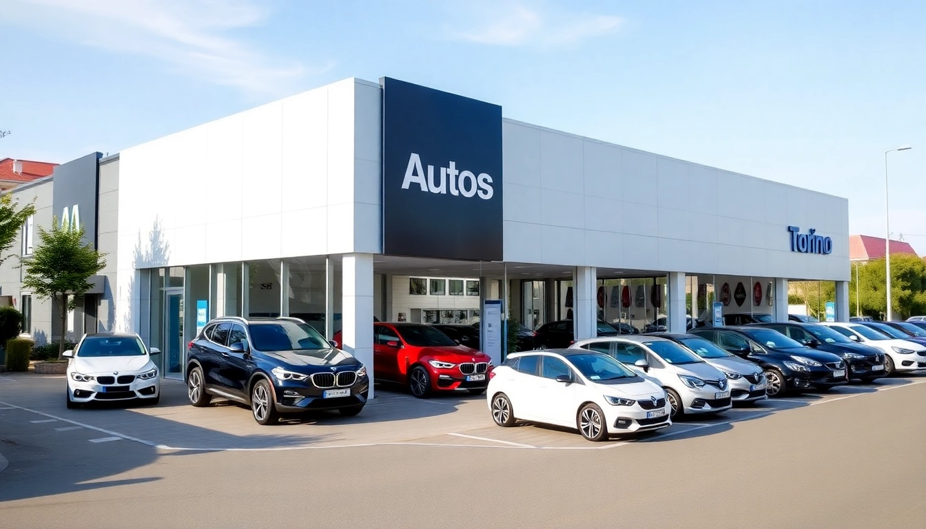 Reliable compro auto torino service with professional staff evaluating used cars in Torino for